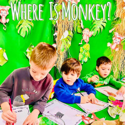 🐒 "Maymun Nerede?" 🐒