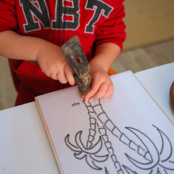 Minik Ellerden Büyük Sanatlar ''FİLOGRAFİ YAPIYORUZ''