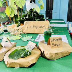 Ispanağı tanıyoruz