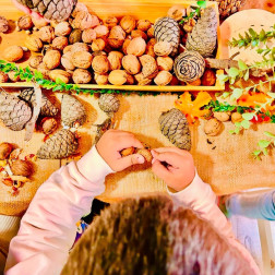 Doğal Ürünler Atölyesi – Ceviz Kırma Etkinliği Okulumuzda!