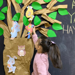 Gems Programı Konumuz Orman-Ağaçlar ve Ağaçta Yaşayanalar