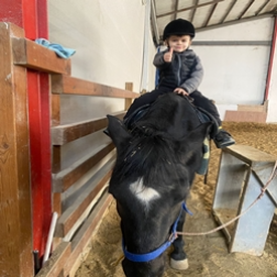 Özel Minik Dehalar Anaokulu'nda Binicilik Günü!