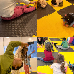 Jimnastik Günümüz