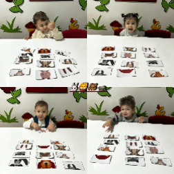 Hayvanları Tanıyoruz