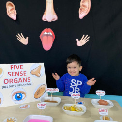 Duyu organları ve sistemlerin sağlığı