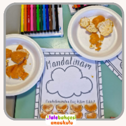 Mandalinam kaç dilim çıktı ?