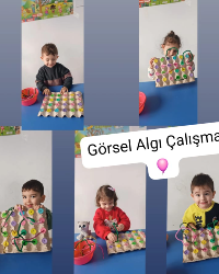 Görsel Algı Çalışması