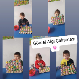 Görsel Algı Çalışması