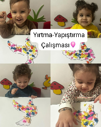 Yırtma Yapıştırma Çalışması