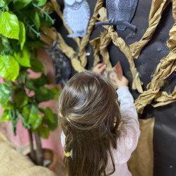 GEMS PROGRAMI BAYKUŞLAR KONUSU