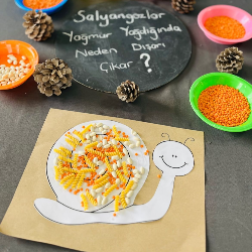 Scamper Çalışması: “Salyangozlar Yağmur Yağdığında Neden Dışarı Çıkar?”