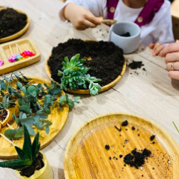 Kendi Sukulentimizi Oluşturuyoruz: Doğa ile Büyüyoruz!