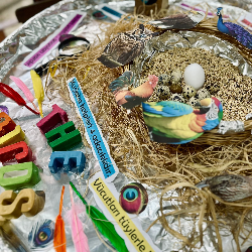 Kuşların Yaşam Döngüsünü Öğrendik!