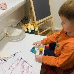 Denver II Gelişim Testi Uygulaması