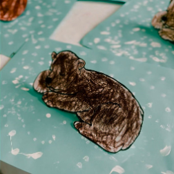 Kış Uykusuna Yatan Hayvanlar / Kutup Ayısı 🐻‍❄️