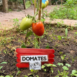 BOTANİK BAHÇEMİZ :)