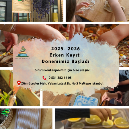 Erken Kayıt Dönemi