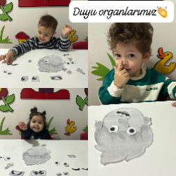 Duyu Organlarımızı Öğreniyoruz