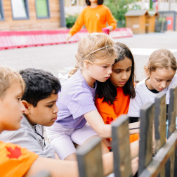 Çocukların Merakını Beslemek: Eğitimin Gerçek Anahtarı!