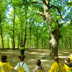 Orman Okulu Günü: Doğanın İçinde Keşif