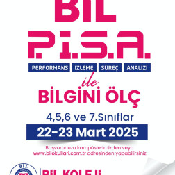 BİL P.İ.S.A