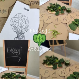 EKOLOJİ ATOLYESİ