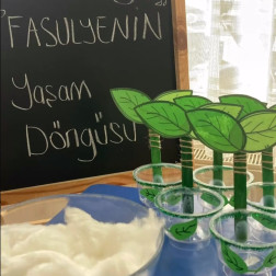 FEN VE DOĞA