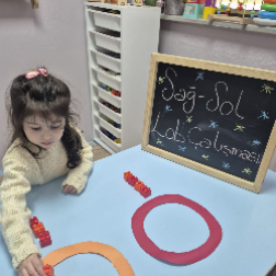 Sağ Sol Lob Çalışması