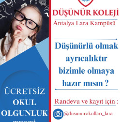 OKUL OLGUNLUK TESTİ
