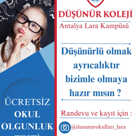 OKUL OLGUNLUK TESTİ