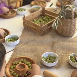 TEMA ANAOKULUNDA GELENEKSEL ZEYTİN KIRMA ETKİNLİĞİ