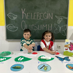 KELEBEĞİN OLUŞUMU 🦋
