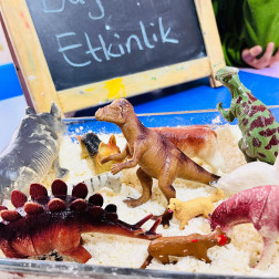 NEŞELİ BİLİM & DUYUSAL ETKİNLİK