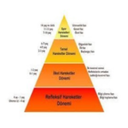 Psiko-motor Gelişim Dönemleri Refleksif Hareketler (0-1 yaş)