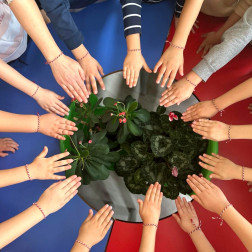 HOŞGELDİN İLKBAHAR🌺