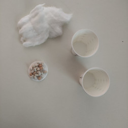 EKONOMİK FAALİYETLER: FASULYE ÇİMLENDİRME