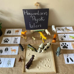 FEN BİLGİSİ - GEMS