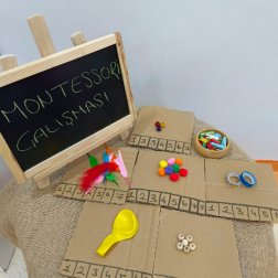 Montessori Çalışması