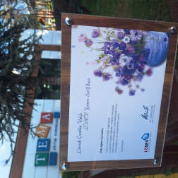 TEMA OKULU LÖSEMİYE KARŞI TEK YÜREK OLDU