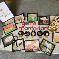 GEMS (GÖZETİMLİ KEŞİF)