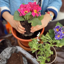 İlkbaharın Gelişi 🌸💕