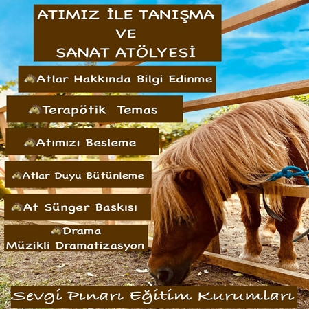 Atımız ile Tanışma ve Sanat Atölyesi Başlıyor!