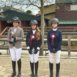 Türkiye Binicilik Federasyonu Yarışları