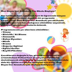 Yaz Okulu Başlıyor!