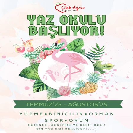 Yaz Okulu Kayıtları Başladı!