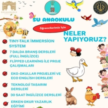 💧 Doğayla İç İçe, İngilizceyle Güçlü Büyüme: Su Anaokulu Yaklaşımı