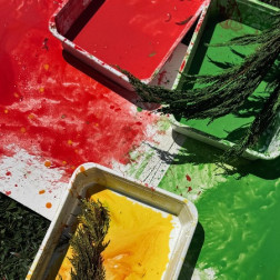 DEV FIRÇALAR İLE BOYAMA