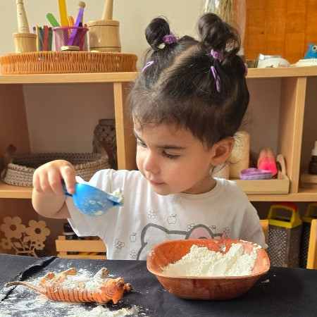 Minik Kaşiflerimizle Gölge Oyunu!