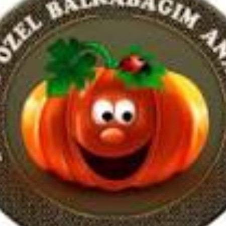 VELİ TOPLANTISI