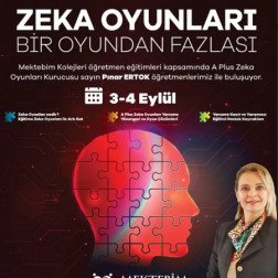 Zeka Oyunları: Bir Oyundan Fazlası! 🧩✨